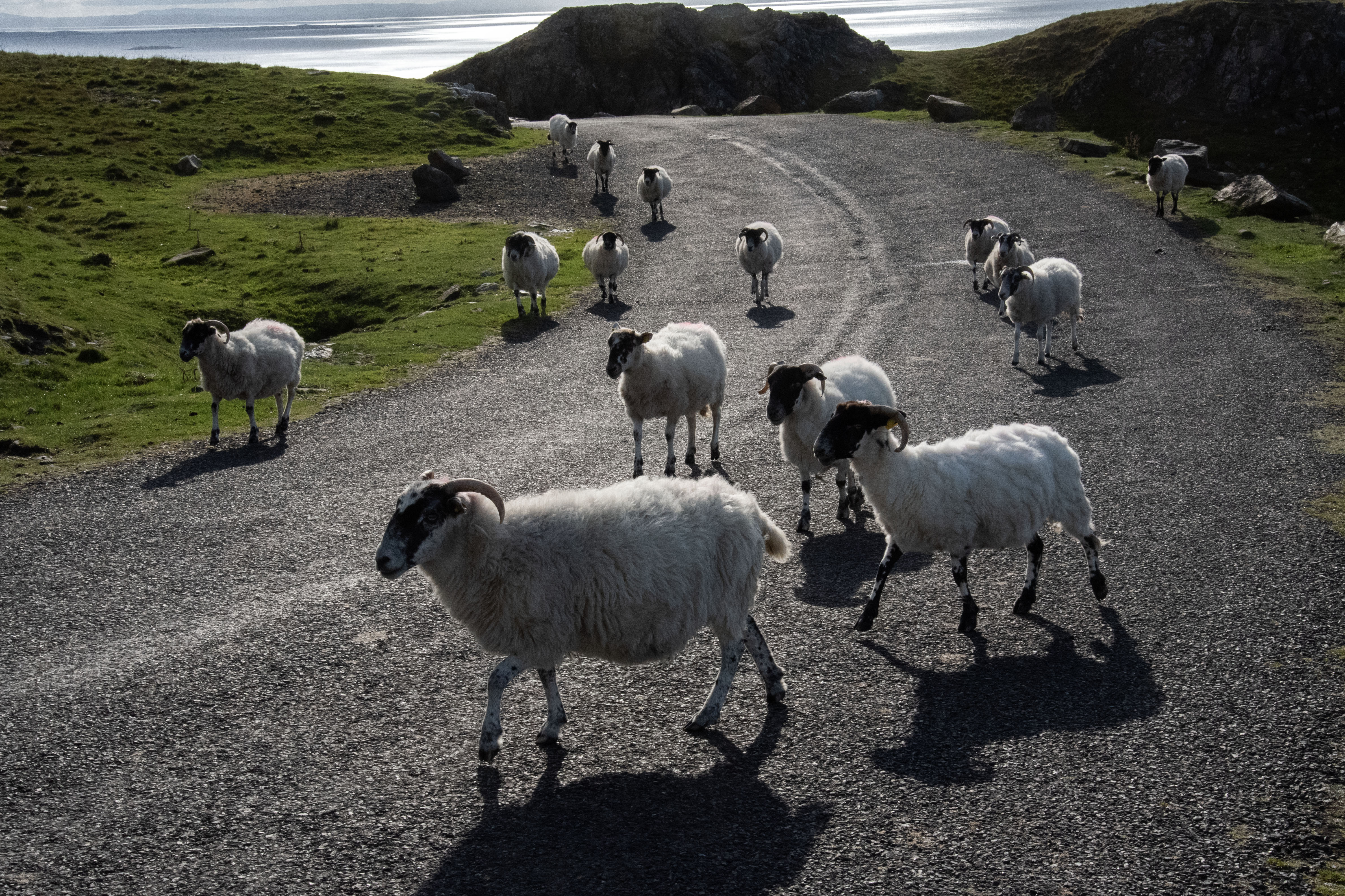 A Northern Path – Chapter Six