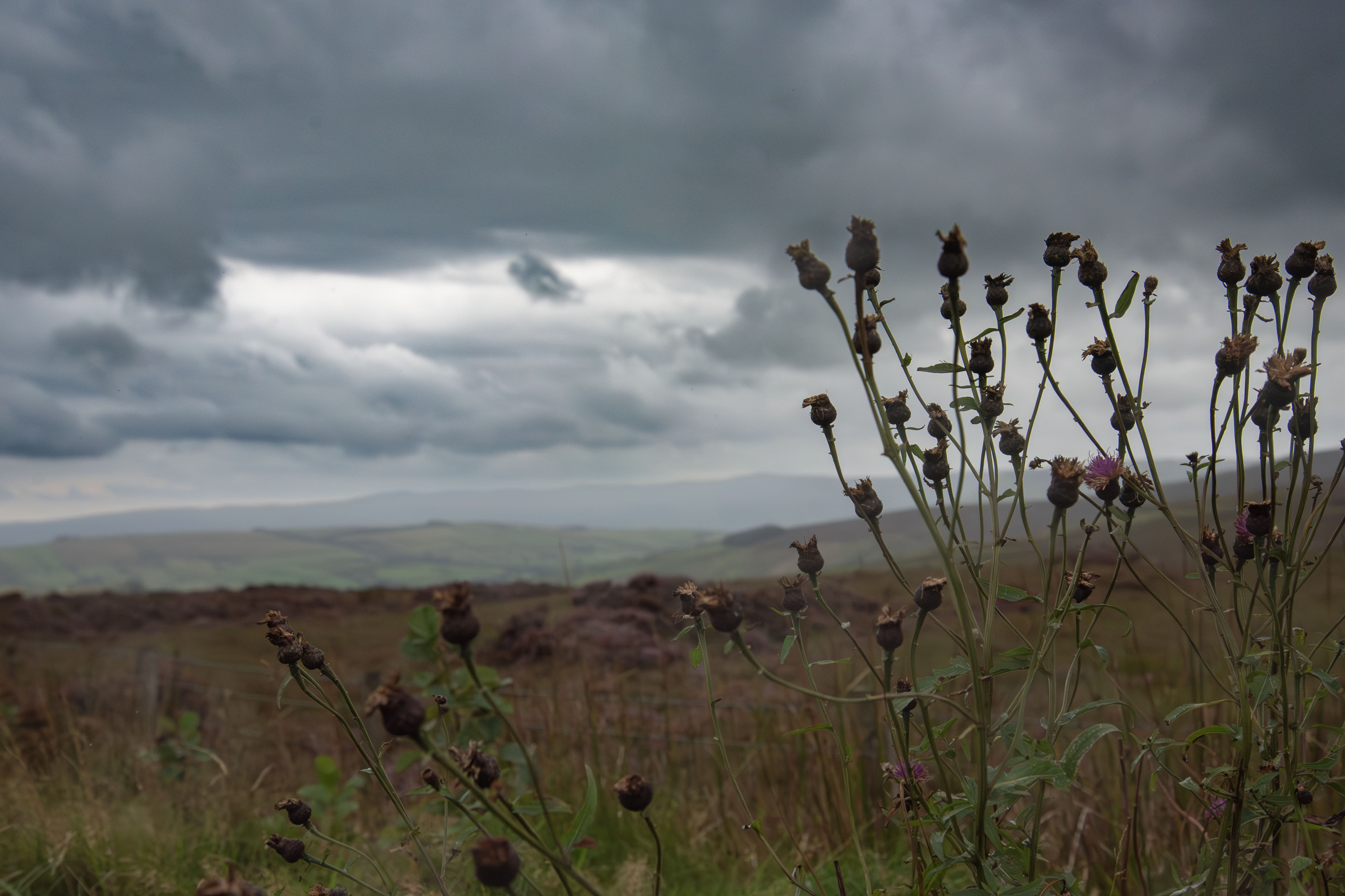 A Northern Path – The Final Chapter
