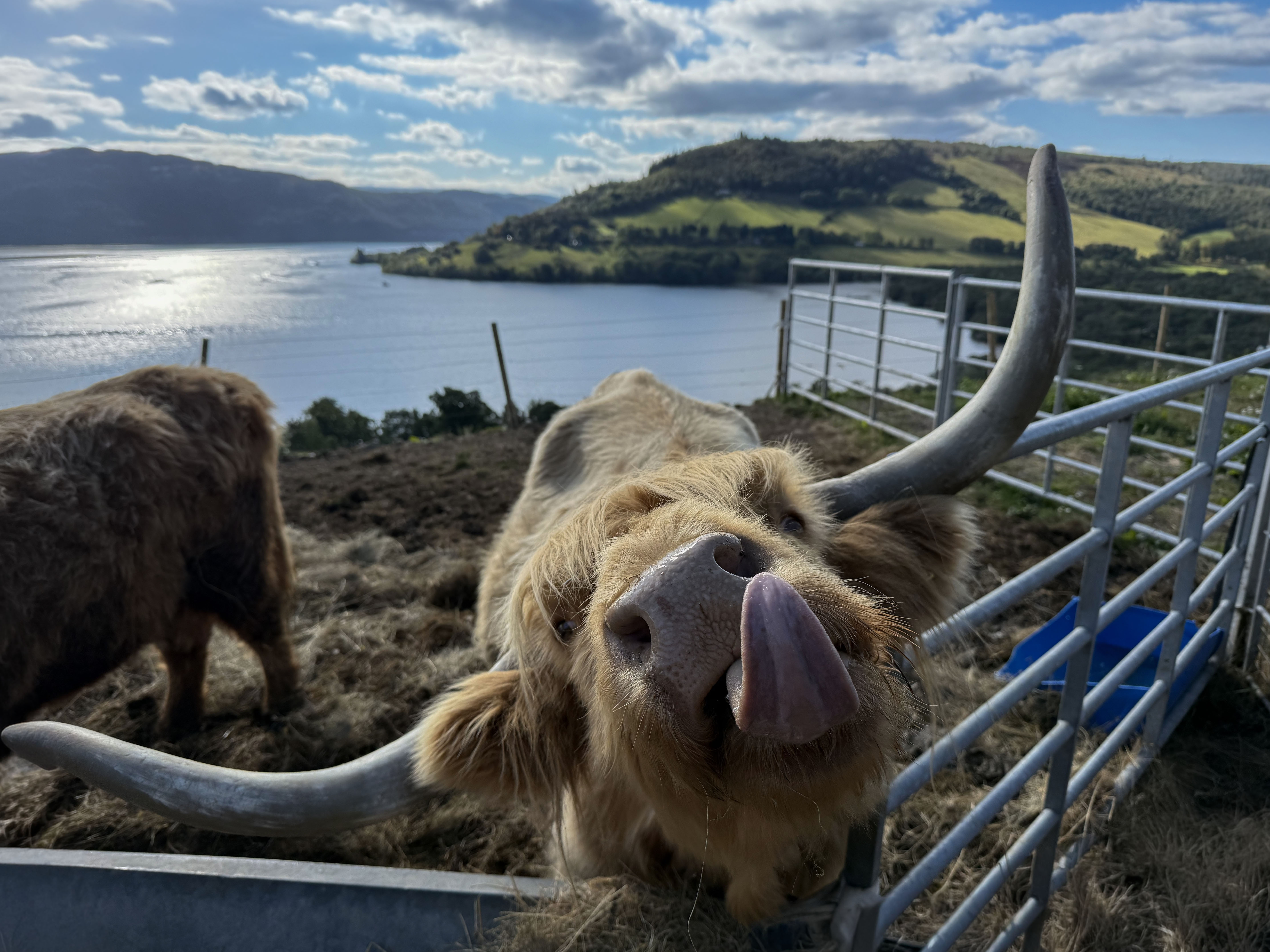A Highland Stravaig: Chapter Eleven